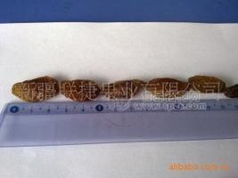 紅香妃葡萄干 顆粒大口齒留香 無(wú)核