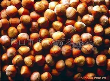 榛子， 美国榛子，大圆榛子，尖榛子