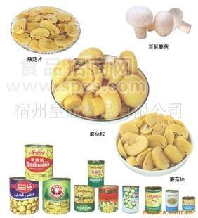 蘑菇罐头（整菇 片菇）