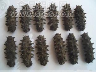 批發(fā)供應(yīng)優(yōu)質(zhì)長島刺參各種頭數(shù)，歡迎批發(fā)選購