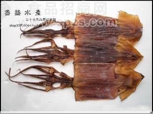 特大淡干大魷魚，歡迎批發(fā)選購，價格實惠