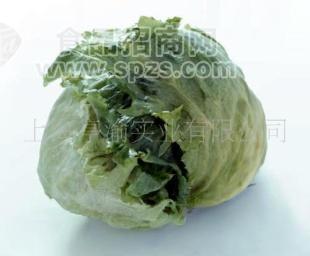 鮮新卷心菜(圖)