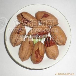 批發(fā)干果食品長壽果/碧根果/美國山核桃 休閑食品 新貨