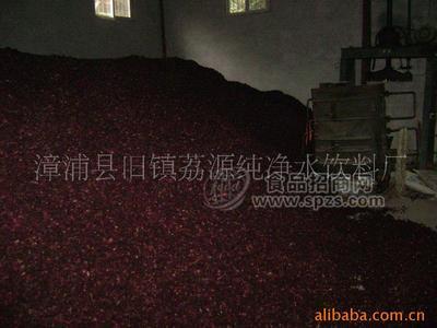 产地洛神花（玫瑰茄）