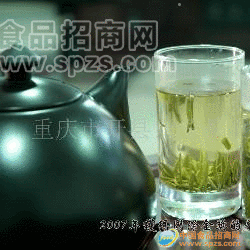 供應(yīng)有機綠茶 茶葉 龍珠茶