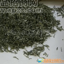 供應(yīng)茶葉.綠茶.天臺山云霧茶.高山茶.