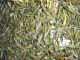 绿茶,碧春绿芽,长期,优质,珍藏,早春,碧春绿芽,散装,绿茶