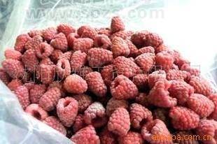 树莓 Respberry，