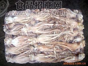 魷魚頭 魷魚圈 魷魚筒 魷魚串