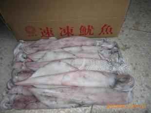 本港魷魚
