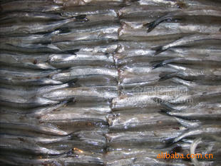 馬步魚(yú)片，針魚(yú)片，棒魚(yú)片，鮐魚(yú)片