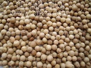 供應(yīng)調(diào)味料，香辛料