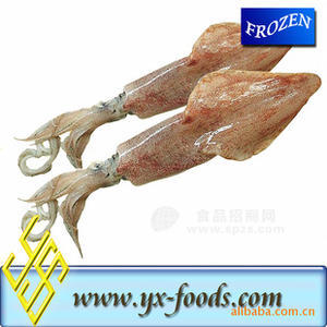 魷魚