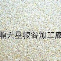 优质色选白小米