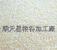 优质色选白小米