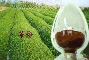 供應(yīng)茶粉加工