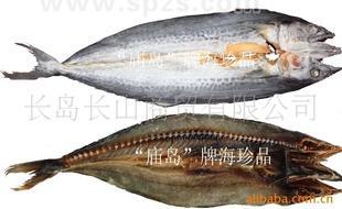 【長島干魚】優(yōu)質(zhì)淡干鲅魚 鲅魚 水產(chǎn)品