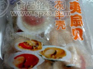 批发供应扇贝王 规格齐全