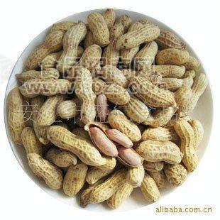 山東名吃，鹵味花生。