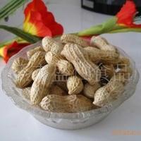 山东大花生 卤味花生 奶油花生 吃出奶香的带壳花生