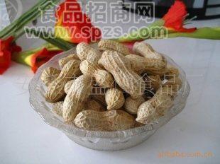 卤味花生，奶油花生！！全国诚招一级代理商！！！