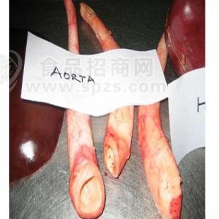 黄喉Arota.jpg