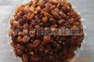 优质水洗上油红葡萄干