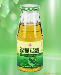 馳星牌 溪黃草露 340ml*24瓶 (單位:件)