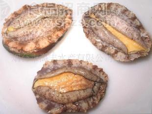 供应速冻鲍鱼