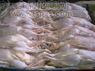 供应裕丰白条鸭(麻鸭,童子鸭)