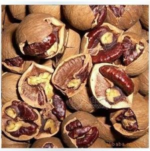 2010新貨 大籽奶油手剝山核桃 10斤 堅果