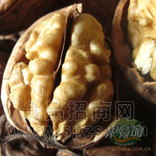 【花果山】原味 生食 云南纸皮核桃 干果 炒货 坚果