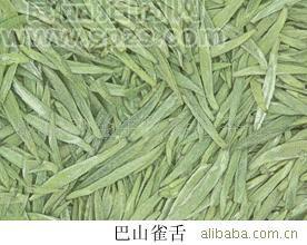 《四川大巴山特产》巴山雀舌绿茶