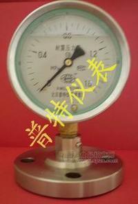 Y100MF法兰隔膜压力表
