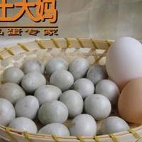 优质鹌鹑蛋