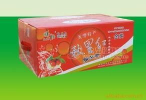 名貴特產(chǎn)熱銷(xiāo)精品冬棗