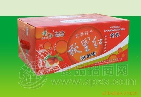 名贵特产热销精品冬枣