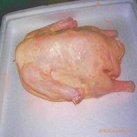 天照 鹅副产品;半片装鹅肉