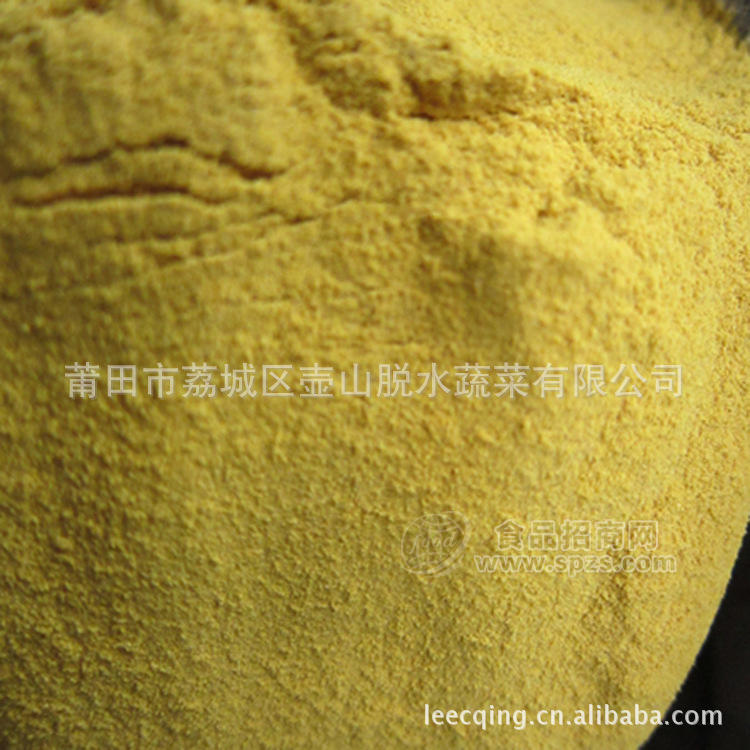 供应调料配料姜粉 一级食品级姜粉