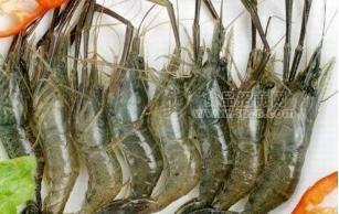 渔家傲无公害赤山湖青虾