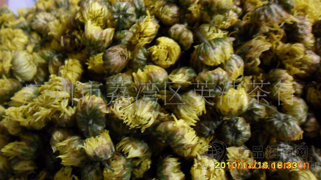 超低价优质胎菊花（精品杭白菊胎花 色亮味甘 格公道）