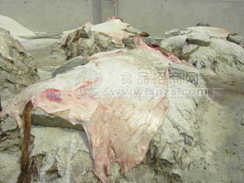 供应牛肉及副产品(图)
