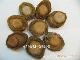 鮑魚(yú)，速凍鮑魚(yú) 即食鮑魚(yú)