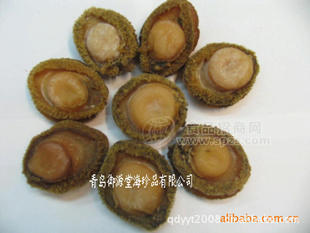 鮑魚(yú)，速凍鮑魚(yú) 即食鮑魚(yú)