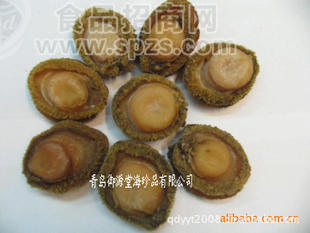 鲍鱼，速冻鲍鱼 即食鲍鱼