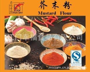 供應(yīng)特級(jí)黃芥末粉 適合食品工業(yè)使用 Yellow Mustard Flour