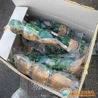 保鲜莲藕（出口标准）