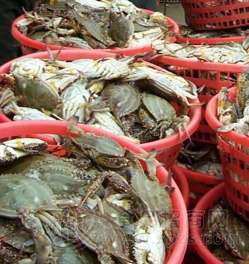 供应20万尾海捕梭子蟹
