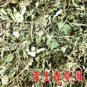 供應(yīng)干香料檸檬香蜂草