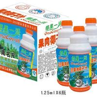 椰果一派